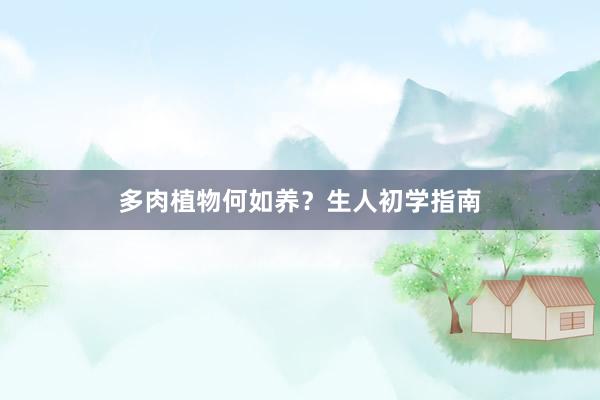 多肉植物何如养？生人初学指南
